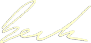 logo-ds